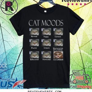 Cat moods Feelings face tee shirt