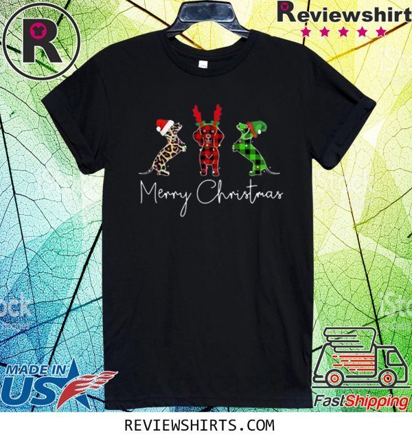 Dachshund Leopard Plaid Printed Merry Christmas Xmas T-Shirt