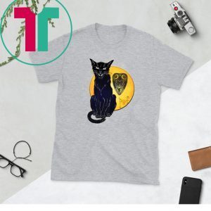 Paranormal Women's Fiction Cat and Moon 2020 TShirt