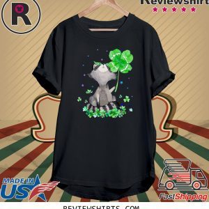 Raccoon Holding Shamrock Stars Cute St Patrick's Day 2020 TShirt