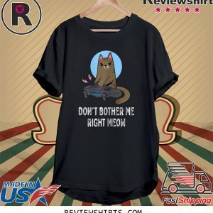 Don't Bother Me Right Meow Funny Video Gamer Cat Lover Unisex TShirt