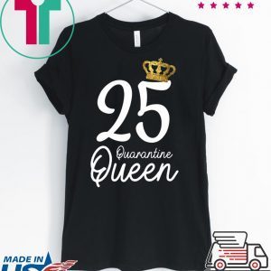 Born in 1995 My 25th Birthday Quarantine Queen Social Distancing Birthday 2020 T-Shirt