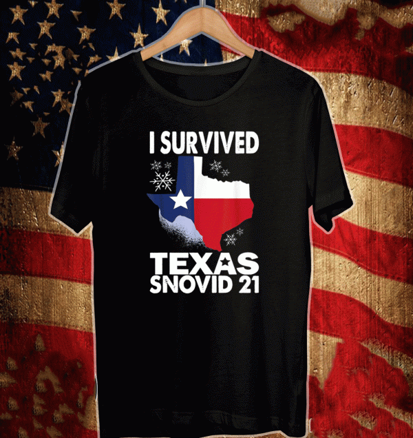 I Survived Texas Snow Storm Blizzard Snovid 21 T-Shirt