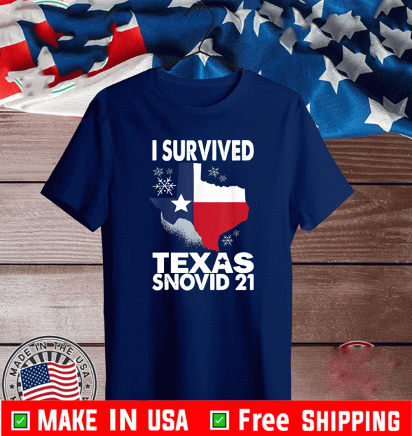 I Survived Texas Snow Storm Blizzard Snovid 21 T-Shirt