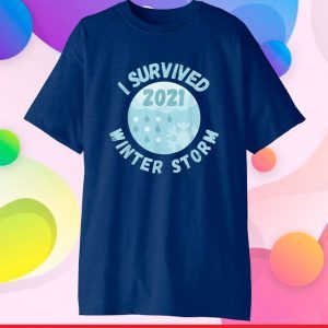 I Survived Winter Snow Storm 2021 Icy Freezing Weather Retro Gift T-Shirt