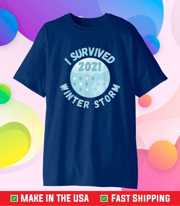 I Survived Winter Snow Storm 2021 Icy Freezing Weather Retro Gift T-Shirt