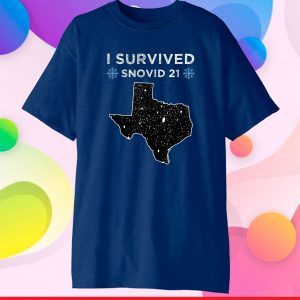 I Survived Winter Snow Storm 2021 Icy Freezing Weather Classic T-Shirt