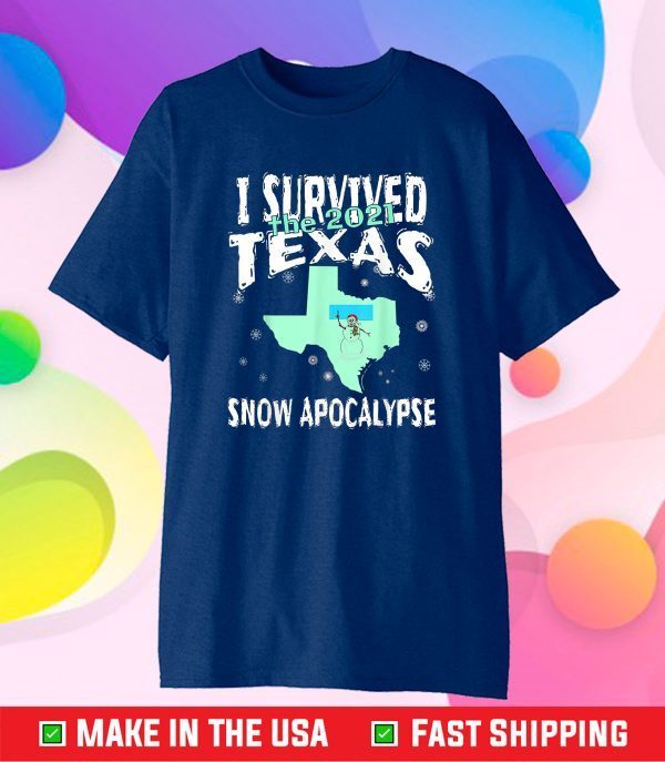 I Survived the 2021 Texas Snow Apocalypse Gift T-Shirt