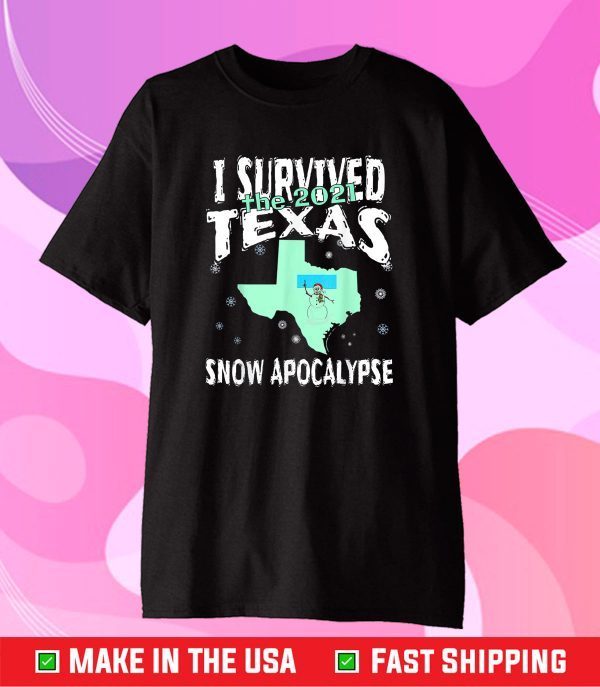 I Survived the 2021 Texas Snow Apocalypse Gift T-Shirt