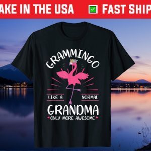 Grammingo Like A Normal Grandma Only More Awesome Mama Gift T-Shirt