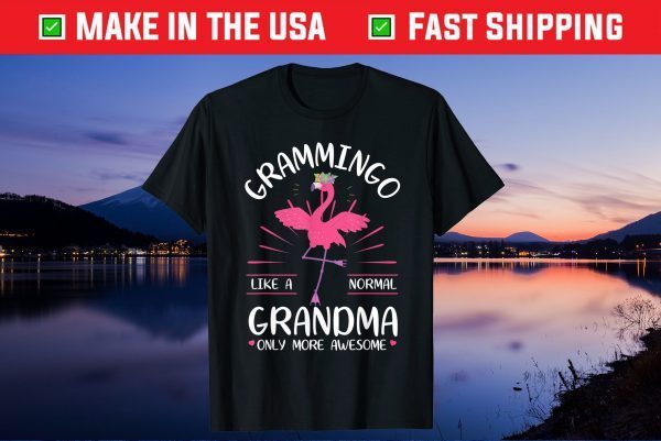 Grammingo Like A Normal Grandma Only More Awesome Mama Gift T-Shirt