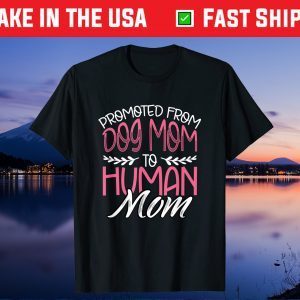 Promoted From Dog Mom To Human Mom 2021 Pregnancy Reveal Unisex T-Shirt