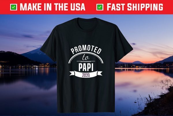 Promoted To Papi Est 2020 Gift First Time Dad Father's Day Gift T-Shirt