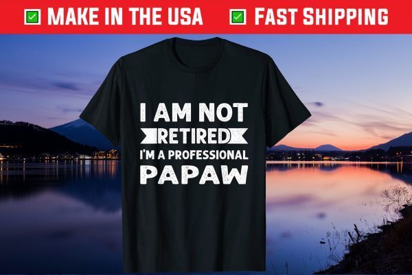 I Am Not Retired I Am A Professional Papaw Fathers Day Us 2021 T-Shirt