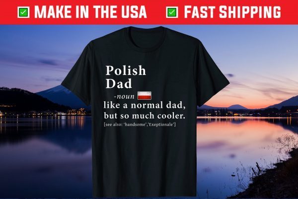 Polish Dad Definition Shirt Fathers Day Gift Flag Gift T-Shirt