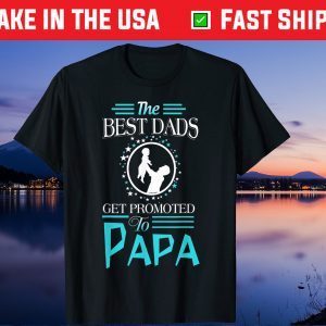 The Best Dads Get promoted to Papa Fathers Day Unisex T-Shirt