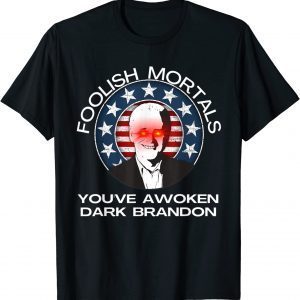 Dark Brandon Rising Saving America Funny Liberal Pro Biden 2022 T-Shirt