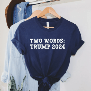 Two Words Trump 2024 ,Proud American, American Flag T-Shirt