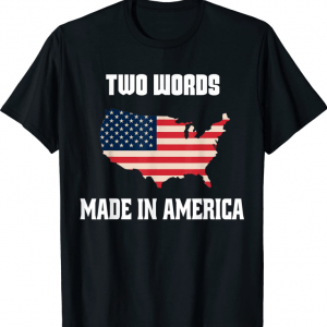 Two Words Made In America Biden Anti Joe US Flag Gift T-Shirt