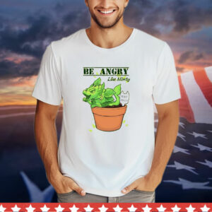 Be Angry Like Minty Mint Dragon T-Shirt